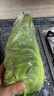 云南小包菜新鲜卷心菜农户自种蔬菜绿甘蓝鲜嫩可口单果250g起 绿甘蓝 8斤 实拍图
