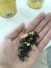 乐品乐茶茉莉飘雪浓香茉莉花茶横县特级碧螺春2025新茶250g金罐送礼袋自饮 实拍图