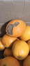集南鲜 赣南脐橙 江西橙子新鲜现摘水果脐橙时令生鲜水果甜橙 水果礼盒 20斤彩箱特级橙 净重18斤 单果200g+ 实拍图