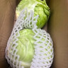 高原夏菜新鲜包菜卷心菜绿甘南菜甘蓝圆白菜时令蔬菜健康营养早餐 1.5斤-2斤高端标准菜 实拍图