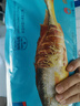 海名威 冷冻黄花鱼700g/2条 宁德大黄鱼地标 海鲜水产 生鲜鱼类 海鱼 实拍图