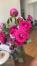 【玫瑰花】云南鲜花批发真花家用插瓶水养节日生日礼物鲜切花束 随机玫瑰18+2枝防损耗 实拍图