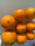 京鲜生 四川爱媛38号果冻橙 净重4.5-5斤 单果120g+ 源头直发包邮 实拍图