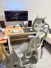 Ergonor保友优旗舰 2代 高端人体工学椅电脑椅家用 电竞椅办公椅老板椅 银白网 整椅发货 送货上门 实拍图