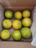 京觅福建青皮爆汁葡萄柚 单果300g起8.5斤装 约10-14个  送榨汁器 实拍图