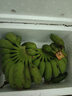 广西小米蕉当季新鲜应季水果日日鲜香甜小香蕉芭蕉孕妇水果整箱 净重9斤 酸甜口的小香蕉 实拍图
