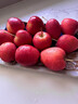 映棠 东北鸡心果5斤【顺丰快递—多地次日达】海棠果玫瑰小苹果礼盒装 3斤大果【人工精选】 现摘现发 实拍图
