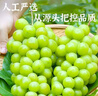 京觅晴王葡萄净重4斤 单果10-12g 新鲜水果 企业团购年货礼盒源头直发 实拍图