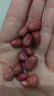 珍田阁红衣生花生米四粒红花生仁新鲜红皮不带壳生的新货 红皮花生米（生 500g 实拍图