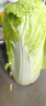 【霜打菜】新鲜大白菜玉田大白菜更甜早餐火锅超市京东包邮 4-6斤含箱 实拍图