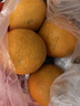 壹棵弘芯正宗高山脐橙橙子应季新果时令湖北新鲜水果手剥橙子生鲜整箱 特选5斤超值家庭装 净重约为4斤+ 实拍图