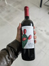 KAKTOS仙人掌【锋芒系列】赤霞珠干红进口酒 750ml*6 热门商品 实拍图