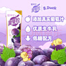蒙牛真果粒葡萄味250g*12盒 小黄鸭IP定制装送礼盒装新老包装随机 实拍图