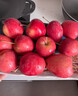 映棠 东北鸡心果5斤【顺丰快递—多地次日达】海棠果玫瑰小苹果礼盒装 3斤大果【人工精选】 现摘现发 实拍图