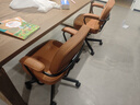 宜家（IKEA）阿勒夫耶正品人体工学椅办公椅真皮电脑椅商务老板椅家用休闲椅 金棕色(真皮) 实拍图