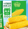 十月稻田 低GI水果甜玉米 8根 3.52斤 真空开袋即食 低脂早餐 粗粮礼盒 实拍图