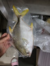 翔泰海南深海金鲳鱼700g 2条 火锅 生鲜鱼类 BAP认证 海鲜水产  实拍图