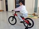 九号（Ninebot）儿童自行车4-6岁单车铝合金脚踏车红色16寸适合身高105-125cm 实拍图