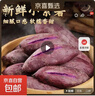 2025新鲜紫薯现挖小紫薯红薯地瓜芋头直播间超市应季生鲜蔬菜 小紫薯迷你宝宝薯 （单果1两以下） 2斤含箱 实拍图