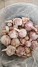 【百万单爆品】紫白皮蒜水果大蒜超市生鲜蔬菜调料即食蒜 大蒜 500g 单果3.5-5cm 实拍图