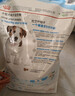 皇家狗粮幼犬狗粮幼犬奶糕宠物小型犬MIJ31全价犬粮2-10月8KG 实拍图