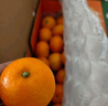 京鲜生 金秋砂糖橘/砂糖桔 5斤 生鲜水果礼盒  实拍图