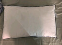 京东京造五星级酒店羽绒枕头 优质白鹅绒蓬松柔软成人男女枕芯  单只中枕 实拍图