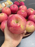 京鲜生 山东烟台红富士苹果 9斤装单果80-85mm 生鲜水果 源头直发 实拍图