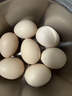 1号会员店 可生食标准鲜鸡蛋30枚 净重3斤 1号会员店自有品牌  源头直发 实拍图