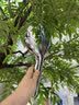 澳斯曼卫浴（AOSMAN）多功能淋浴花洒全套全铜主体大顶喷淋浴器自洁除垢淋浴喷头套装 专业卫浴质造30年 实拍图