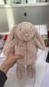 Jellycat害羞米色邦尼兔动物毛绒玩偶安抚公仔娃娃圣诞节生日礼物 米色 Medium 实拍图