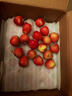 映棠 东北鸡心果5斤【顺丰快递—多地次日达】海棠果玫瑰小苹果礼盒装 3斤大果【人工精选】 现摘现发 实拍图