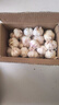 紫白皮蒜水果大蒜超市即食生鲜蔬菜大蒜 【精选】净重 2.8斤 单果3.5-5cm 实拍图