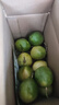 黄金百香果钦蜜9号新鲜当季现摘精选好果水果百香果鲜果酸甜可口 钦蜜9号黄金百香果 ＜40g小果 1斤 实拍图