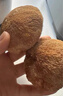 同芙 猴头菇500g 长白山猴头菇干货 山珍菌菇炖汤煲汤火锅食材 实拍图