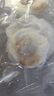 獐子岛 冷冻蒜蓉粉丝扇贝 净重600g 18只 烧烤食材 生鲜 海鲜水产  实拍图