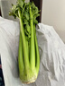新鲜出土西芹大颗半叶绿色蔬菜榨汁专用甜脆嫩心时令蔬菜现割现发 1斤尝鲜款 实拍图
