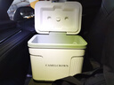 CAMELJEANS保温箱户外家用冰块冷藏箱烧烤露营野炊冰桶商用摆摊 抹茶白10L 实拍图
