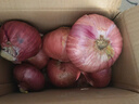 山东特产水果扁洋葱甜瓜口感红皮扁葱头生吃脆甜蘸酱好吃粉嫩 紫皮洋葱大果带箱 3斤 精选 实拍图