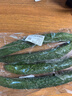 长黄瓜约600g 实拍图