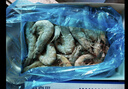鲜京采 厄瓜多尔白虾 净重3斤/盒 特大号20-30规格   30-45只/盒 实拍图