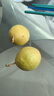 鲜青录广西黄金百香果钦蜜9号新鲜水果黄色白香果西番莲鸡蛋果 净重1斤（单果60-70g） 实拍图