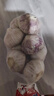 山东金乡蒜大蒜出口标准精选大蒜头蔬菜调料单果5cm 出口标准网兜装箱 455g 5-5.5cm特大 实拍图