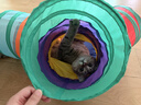瓜洲牧逗猫棒猫玩具自嗨解闷神器猫隧道小猫咪迷宫通道幼猫宠物用品大全 彩虹Y隧道25（带球） 实拍图