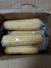 京鲜生东北白糯玉米330g*8根 甜黏玉米低脂早餐代餐粗粮真空装 源头直发 实拍图