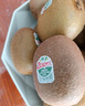 佳沛（zespri）新西兰阳光金果6个装巨大果单果144-175g水果猕猴桃源头直发 实拍图