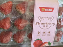 京鲜生 丹东99红颜奶油草莓 1斤装 单果22-30g 生鲜水果 实拍图