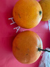 生活＆好管家 四川爱媛38号果冻橙柑橘手剥橙新鲜橙子水果应季时令桔橘子 净重4.5斤【超划算-80%人选】 果径60-65MM【小果】 实拍图