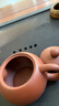 晴碧琳紫砂壶茶壶宜兴名家茶具泡茶壶泡茶器原矿大红袍朱泥 大红袍朱泥 西施 220ml 实拍图