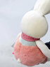 威尔通（WELTSTON）毛绒玩具布娃娃抱枕安抚玩偶摆件儿童生日礼物女生 小白兔子公仔 实拍图